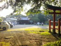 朝日が降り注ぐ、膝子八幡神社