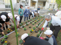 あらかじめ、地域連携コーディネーターの鈴木さんが花壇にひもを張ってくださいました。