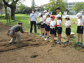 井上会長から、種イモの植え方を教えていただきました。