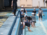 大分きれいになってきました。