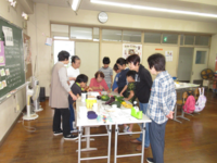絵手紙の説明を聞きます!