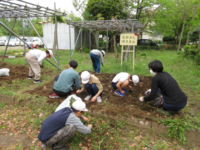 みのりの時間に農園の草むしりをしました。