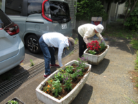 実は、その後も正門前の花壇に植栽していただきました。